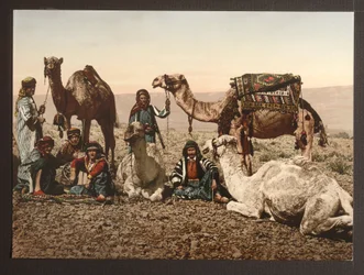 Camel Train in Desert Having a Rest, 1895